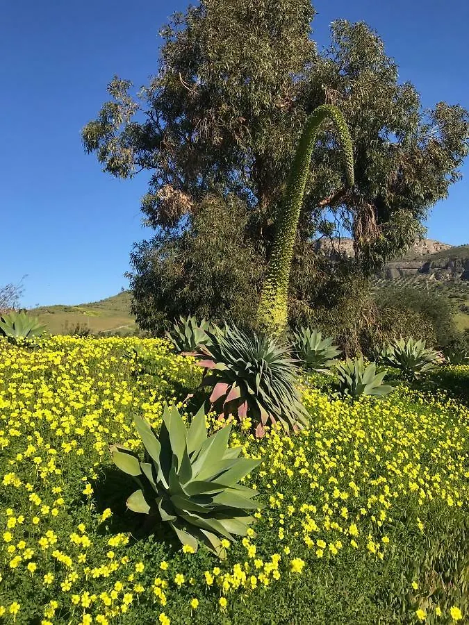 Casa Grande / Rosas Cantares Pizarra Holiday home